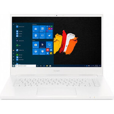 Ноутбук Acer ConceptD 3 CN315-72G-58EP (NX.C5XER.004)