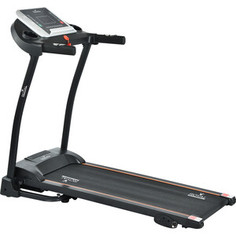 Беговая дорожка Royal Fitness RF-7
