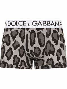 Dolce & Gabbana трусы-брифы с леопардовым принтом
