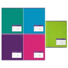 Тетрадь школьная А5,18л,линия классика 5 цветов 7-18-010/2 12 штук Альт