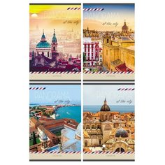 Тетрадь общая А5,48л,клетка,скрепка,мел.обл,бл.офсет-2 панорамы 48-2962 асс 8 штук Проф Пресс
