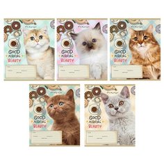 Тетрадь школьная А5 12л,кл,скреп,мел.карт. Котики И пончики 12-4654 асс 15 штук Проф Пресс