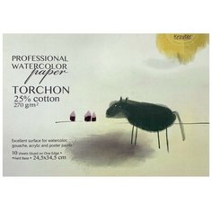 Альбом д/акварели Kroyter 245х345,10л,270г+хлопок,склейка,тв.пTorchon 00176 Кройтер