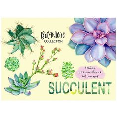 Альбом для рисования А4 40л,гребень,обл.мел.карт. Суккуленты 40-5478 3 штуки Проф Пресс