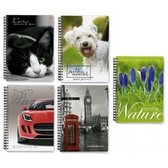 Блокнот А6 80л на гребне в ассорт 3-80-032 Д 5 штук Альт