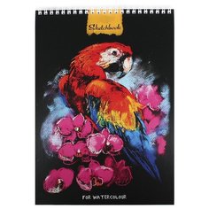 Скетчбук д/акварели А4,20л,спир,бл.200гр,ламин,жес.под.АРА В цветах 20-6015 Проф Пресс