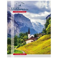 Тетрадь общая А4,80л,кл,скреп,мел.обл,бл.офсет-2 деревенька В горах 96-0579 3 штуки Проф Пресс