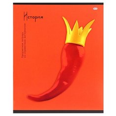 Тетрадь предметная А5,48л. История на контрасте 48-1026 4 штуки Проф Пресс