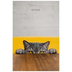 Записная книжка А5 80л клетка,сшивка,обл.7БЦ Прятки КЗ5803050 2 штуки Канц Эксмо