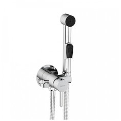 Встраиваемый смеситель Damixa Option с гигиеническим душем 211000000