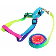 Антицарапки Шлейка+поводок радуга