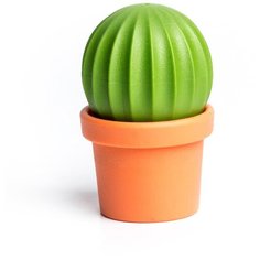 Набор для специй cactus Qualy