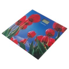 HOMESTAR Весы напольные электронные Homestar 180 кг HS-6001