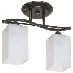 ЭкономСвет Люстра ЭкономСвет "53723x2". Венге