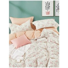 Постельное белье Cleo "Perfecto" сатин реактивный, арт: EH-009; размер 2.0