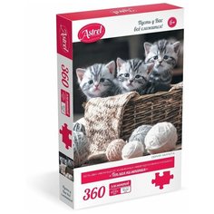 Пазлы 300-499 эл. (8-9 лет) Оригами Пазл 360эл Теплая компания Origami