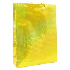 Пакет подарочный Голография 33x45x10см 12шт/уп в ассортим 42068 Veld Co