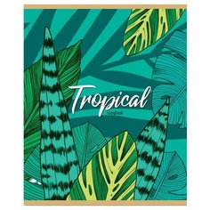 Тетрадь общая А5 36л клетка,скреп,мел.обл.офс2 тропические ЛИСТЬЯ-1 36-5951 15 шт. Проф Пресс