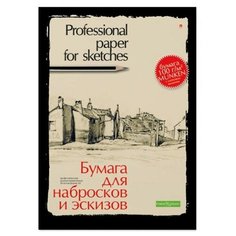 Папка для эскизов и набросков А3, 20л, 4-087 2 шт. Альт
