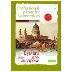 Папка для рисования акварелью ПРОФ,А2,8л,блок с хлопк,гознак 200гр,4-083 2 шт. Альт