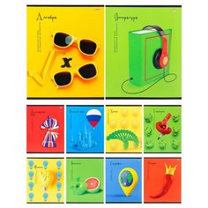 Набор Тетрадей предметных А5 48л 10шт на контрасте, мел.карт. 48-1038 Проф Пресс