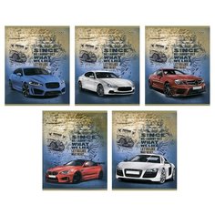 Тетрадь общая А5,48л,клетка,скреп,мел.обл,бл.офсет-2 автостайл 48-0276 асс 12 шт. Проф Пресс