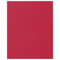 Тетрадь общая А5 48л клетка,скр,обл.бумвинил,блок2 красная 48БВ-1060 9 шт. Проф Пресс