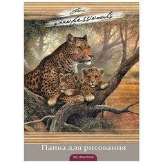 Папка для рисования А4 20л, бл.120гр. Семейство леопардов 20-3221 5 шт. Проф Пресс