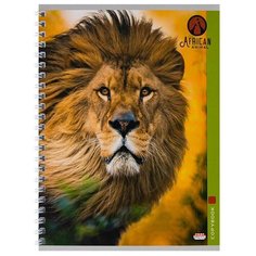 Тетрадь общая А5 48л клетка,греб,мел.обл. Короли зверей 48-4541 8 шт. Проф Пресс