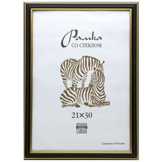 Рамка пластиковая А4 черного цвета 308 2 шт. Зебра