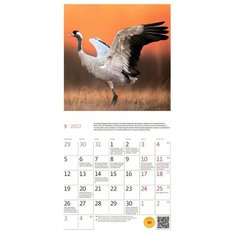 Календарь настенный моноблочный, 2022 Природа России КОНТЭНТ