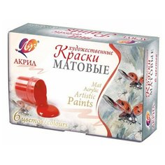 Краски акриловые матовые художественные ЛУЧ 6 цветов 20 мл, 29С 1746-08 2 шт.