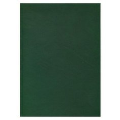 Ежедневник А4, 136л Зеленый (136-1519) бумвинил, недатиров 2 шт. Проф Пресс