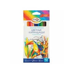 Карандаши цветные 12цв 6-гран, Гамма Классические 050918_02 3 шт. Gamma