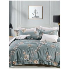 Постельное белье Cleo "Perfecto" сатин реактивный, арт: EH-016; размер 2.0