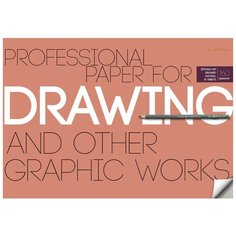 Бумага для рисунка и графики А3,10л,блок 160гр, в папке 4-128 Bruno Visconti