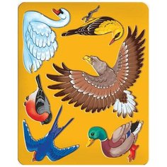 Трафарет Птицы Луч, 9C 449-08 8 шт.