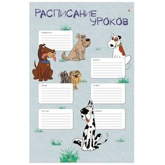 Расписание уроков А3,1л, 4 вида 2-016 11 шт. Альт