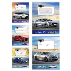 Тетрадь школьная А5 12л,крупн.клетка АВТОМОБИЛИ-1 5диз 12-1017 25 шт. Проф Пресс