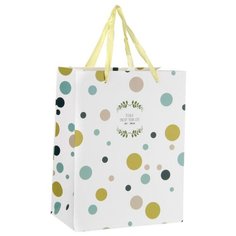 Пакет подарочный ламинированный ср. 17.8X22.9X9.8 см,матовая,103248 4 шт. Veld Co