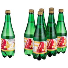 Вода минеральная природная леч.-стол.Нагутская Арджи-26,газ.,ПЭТ 1л, 6шт/уп