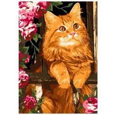 Картина по номерам Рыжий котик Кпн-114 2 шт. Lori