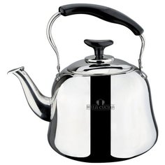 Чайник из нержавеющей стали BELLA CUCINA BC-1093 4 л (серебристый)