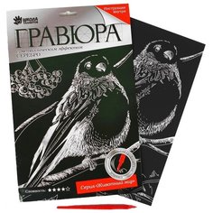 Гравюра Школа талантов Снегирь на ветке (3536797) серебристая основа