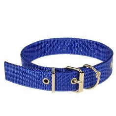 Ошейник Пижон клепаный (2514383-2514386), длина ошейника 43 см синий
