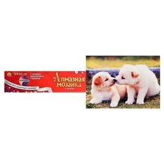 Алмазная мозаика 30*40 класс полное заполнение б/ подрамника, милые щенятки WFC035 Рыжий кот