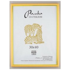 Рамка пластик 30х40, ZEBRA, 103 Зебра