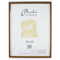 Рамка пластик, 30х40, ZEBRA, 205 Зебра