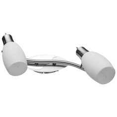 Спот с двумя плафонами Arte Lamp A4590AP-2SS SPOT LIGHTS матовое серебро
