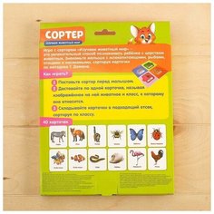 Сортер «Изучаем животный мир» с карточками Домана Iq Zabiaka